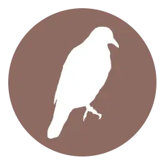 columbiformes