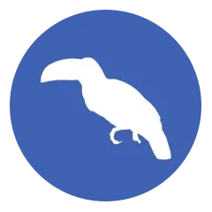 piciformes