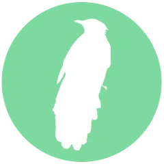 OAC_THUMBS_CUCULIFORMES